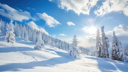 Obraz premium Snowy Mountain Landscape with Fir Trees