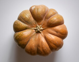 pumpkin, isolated on a clean, smooth white background