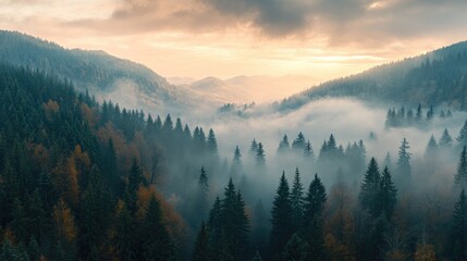 Obraz premium Mystical Misty Forest Landscape with Fog-Covered Mountains and Panoramic View in Aerial Photography