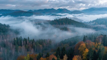 Fototapeta premium Mystical Misty Forest Landscape with Foggy Mountains and Aerial Panoramic View