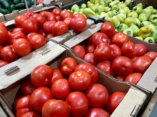 fresh organic tomatoes at the farmers market