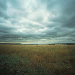 Obraz premium A wide-angle view of a vast, empty field under a cloudy sky, with tall grasses bending in the breeze