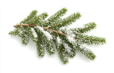 A Christmas tree branch with snow on an isolated white background. Ideal for Christmas greeting cards and invitations.
