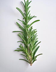 Fototapeta premium Rosemary, isolated on a clean, smooth white background
