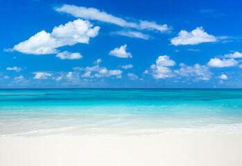 beautiful beach and tropical sea