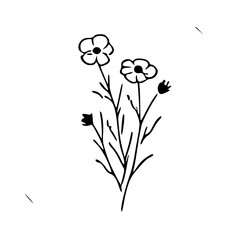 illustration of flowers