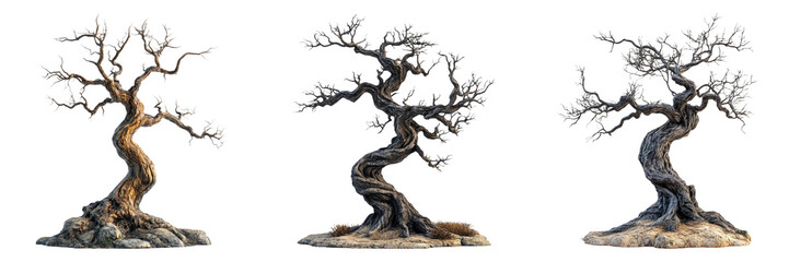 Twisted old tree isolated on transparent PNG background image perfect for Halloween-themed illustrations or fantasy designs