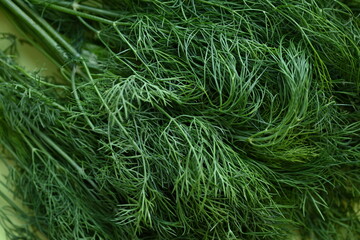 bunch of dill macro texture, close up texture of green dill, macro texture of dill, close up bunch of dill 