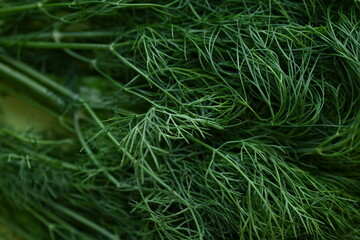 bunch of dill macro texture, close up texture of green dill, macro texture of dill, close up bunch of dill 