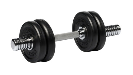 Fototapeta premium A pair of dumbbells with a silver handle