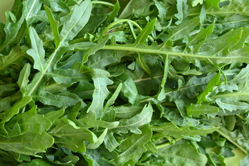 bunch of arugula macro texture, close up of green arugula texture, macro texture of arugula, close up of bunch of arugula, salad ingredient 