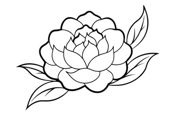 Black and white peony line art vector elegant floral sketch
