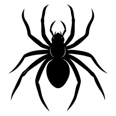 Black widow spider black silhouette vector art illustration Isolated on Transparent background