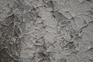 texture of cement