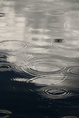ripples in water