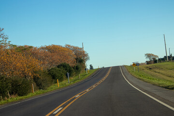 Fototapeta premium Ruta agreste 