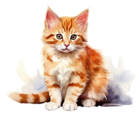 PNG Animal mammal kitten pet.