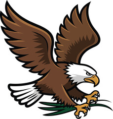 Fototapeta premium Cartoon bald eagle flying flapping wings vector