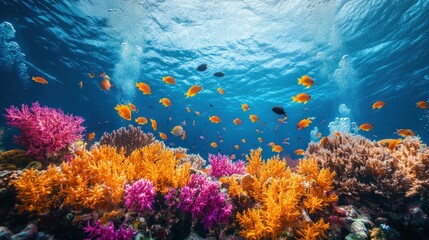 Naklejka premium A vibrant underwater scene with colorful coral reefs and a school of fish swimming through the crystal clear water.