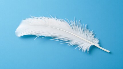 Obraz premium Isolated White Feather on Solid Blue Background
