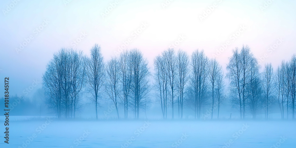 Poster a field of trees covered in snow and fog