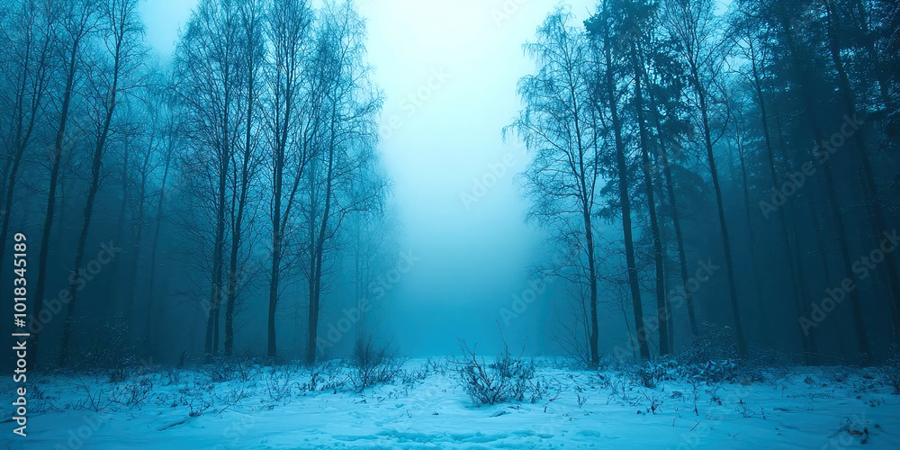 Poster a forest with trees and snow