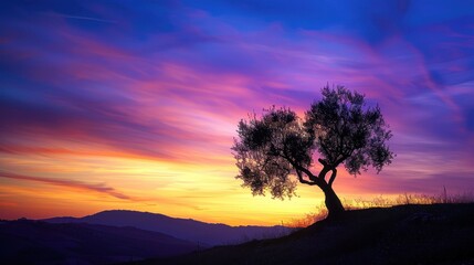 Silhouette of a Tree at Sunset