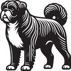 Fototapeta premium Boxer Dog silhouette vector collection on white background. Dog art work vector illustration.