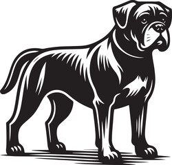 Obraz premium Boxer Dog silhouette vector collection on white background. Dog art work vector illustration.