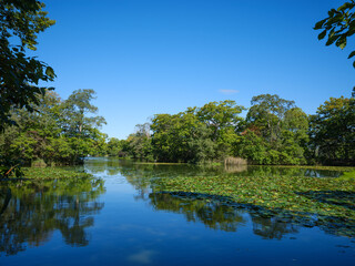 大沼公園 北海道