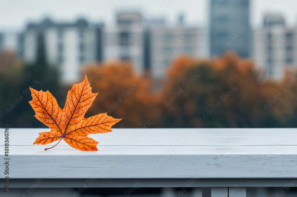 Poster Single orange maple leaf lying on empty white table with cityscape background