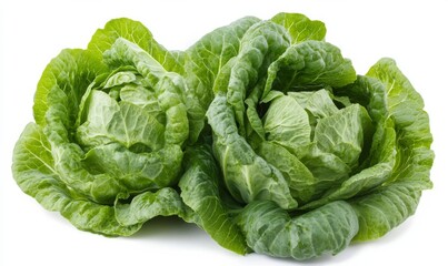 Obraz premium Green butterhead lettuce cabbage isolated on white background