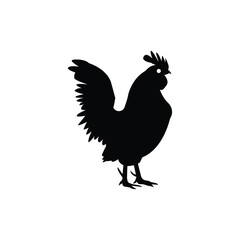 silhouette of a chicken on white