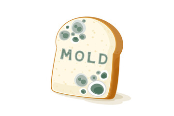 Moldy bread vector isolated on white background, Bread that has gone bad or is expired and has been damaged by moisture, Food contamination caused by mold, aflatoxin, bacteria and microorganisms.