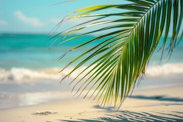 Fototapeta premium Palm Leaf and Sandy Beach with Blurred Bokeh Ocean Background. Summer Branding and Marketing Concept for Products and Services