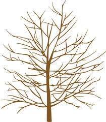 Obraz premium 나무