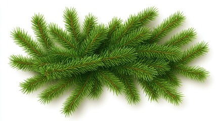 Obraz premium A beautifully designed Christmas card showcases a blank white center surrounded by lush green pine branches, creating a festive and inviting holiday feel