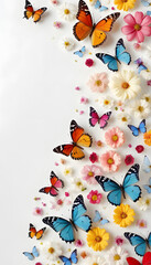 colorful flowers and butterflies on a white background