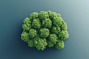 Aerial view of a lush green tree cluster on a serene background, showcasing nature's beauty and vibrant colors.