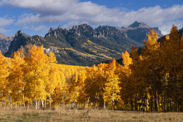 Fototapeta premium Beautiful Autumn Color in the Colorado Rocky Mountains. Autumn landscape of the Cimarron Ridge in the San Juan Mountains of Colorado.