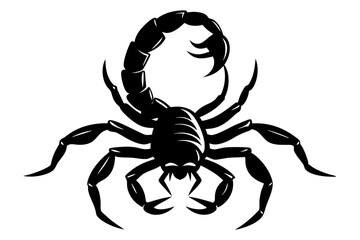 scorpion silhouette vector illustration