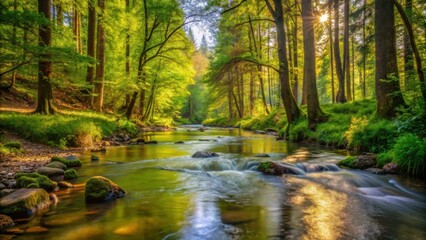 Obraz premium A tranquil stream meanders through a lush forest, bathed in the warm glow of the morning sun, creating a serene and picturesque scene.