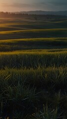 Obraz premium Vibrant Evening Colors Across Rolling Farmland