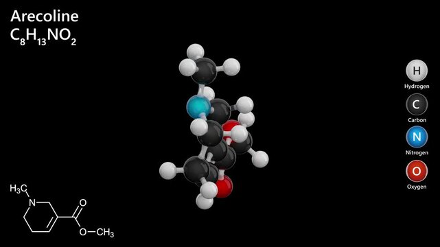 Molecule of Arecoline (C8H13NO2) is a mild stimulant alkaloid. It appears as an oily liquid and acts as a parasympathomimetic agent, enhancing alertness. Black background. 3d rendering.