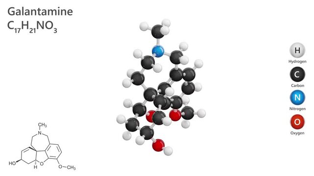 Molecule of Galantamine (C17H21NO3), is a reversible inhibitor of acetylcholinesterase, primarily used for treating mild to moderate Alzheimer's disease. Model: Ball and Stick. White back. 3D render