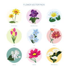 Artistic and Beautiful Flower Vector Set 