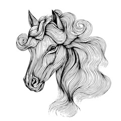 horse vector