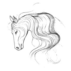 horse vector