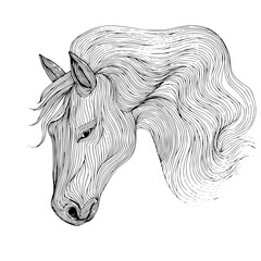 horse vector