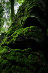 green moss on the rock